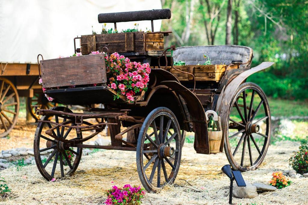 Cozy Wild West Covered Wagon Next To River Grants Pass Buitenkant foto